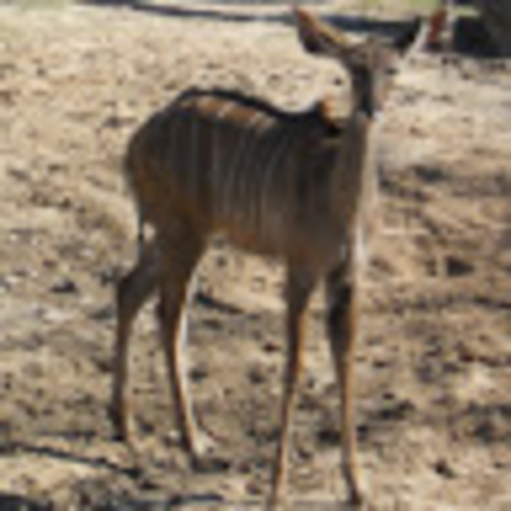 Meet your Posher, Mary